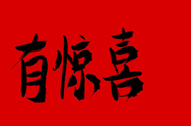 案例展示八